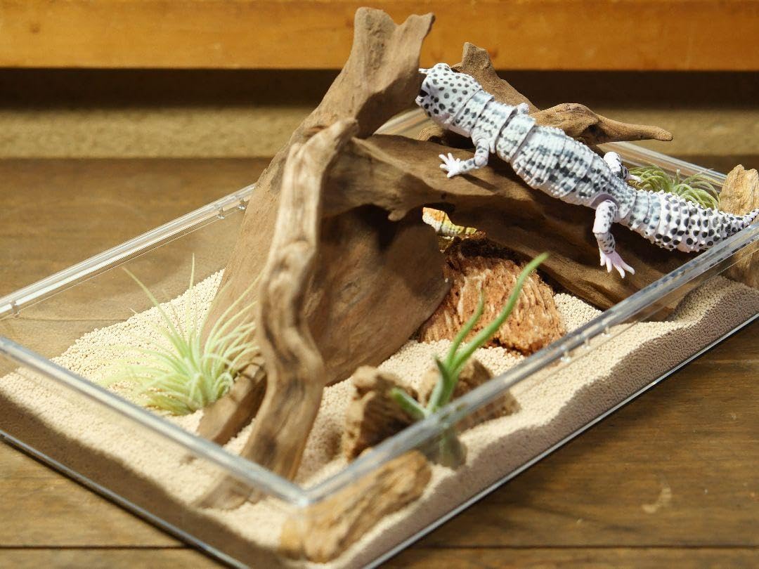 Amazon.co.jp: レオパ 飼育 ケージ レオパードゲッコー フトアゴ